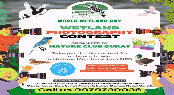 Wetland Photography Contest