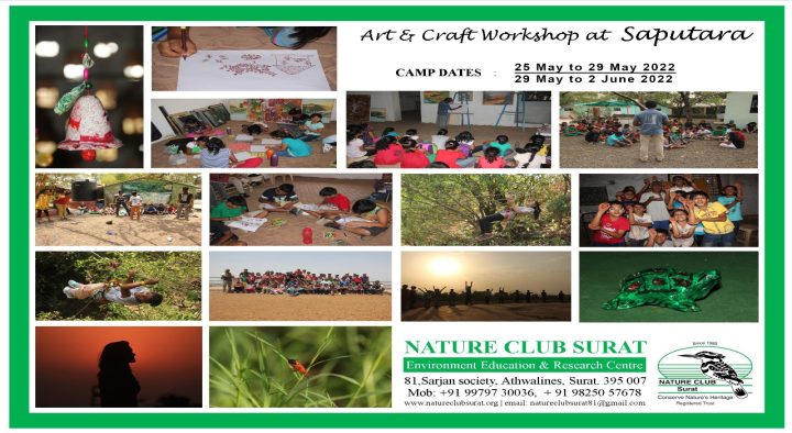 Art & Craft Workshop – Saputara