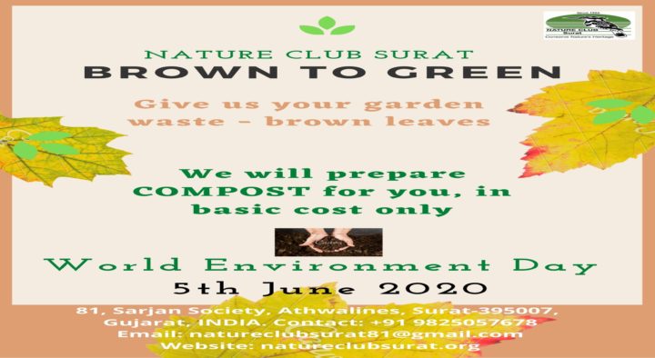 Brown to Green