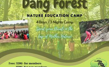 Diwali Dang Camp