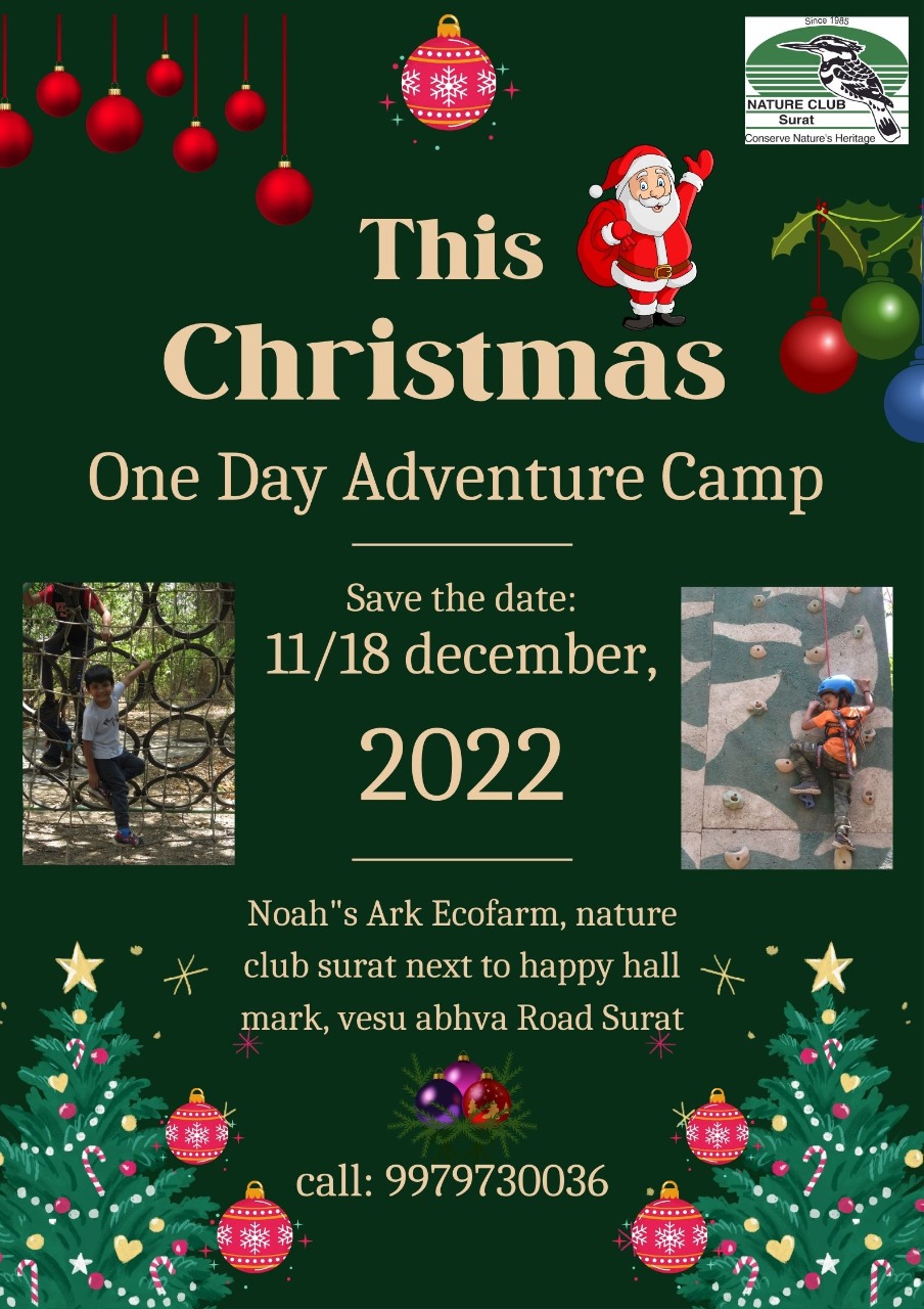 One Day Adventure Camp during Christmas