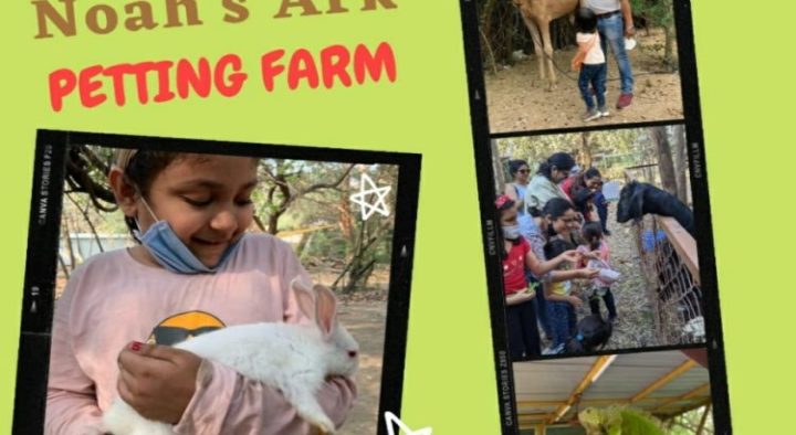 Noah’s Ark – Petting Farm One Day Camp