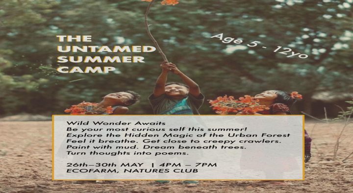 Summer Camp-25