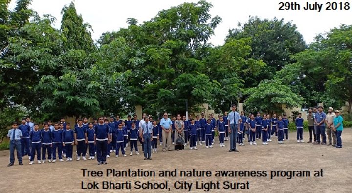 Tree Plantation  at LokBharti School