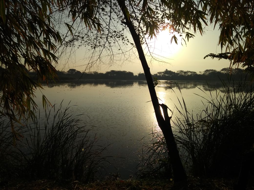 Green Walk at Gavier Lake