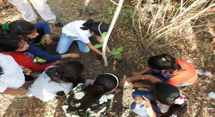 Gavier Visit & Tree Plantation by DPS students