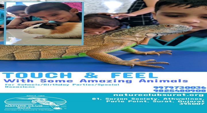 Snake Awareness & Touch & Feel Program
