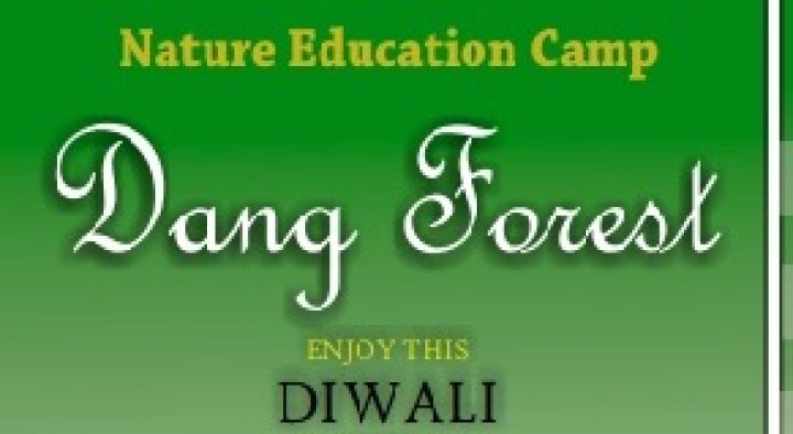 Diwali Dang Camp