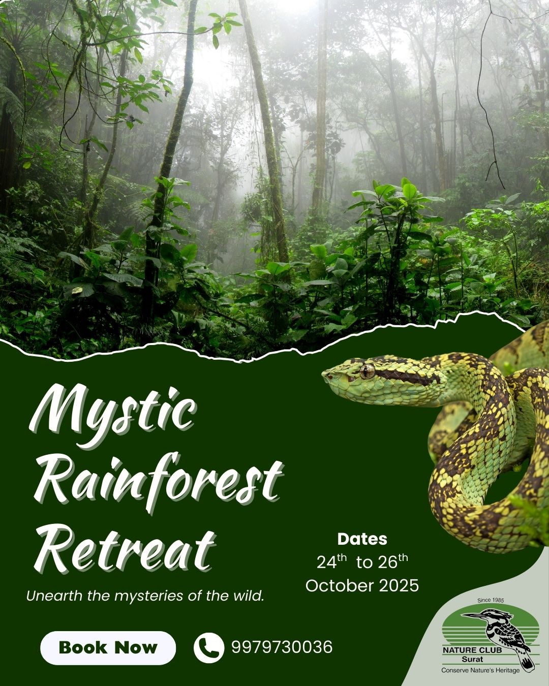 Mystic Rainforest Retreat – Agumbe