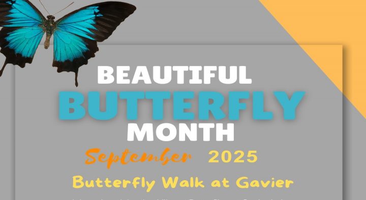 Big Butterfly Month
