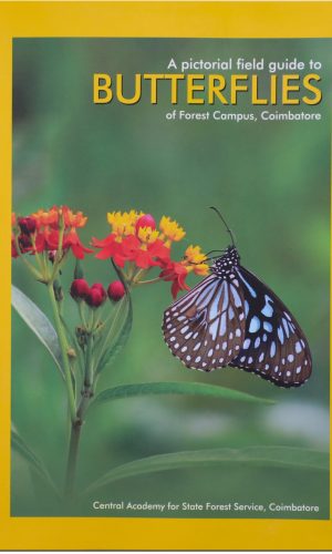 Butterflies Book Butterflies Book