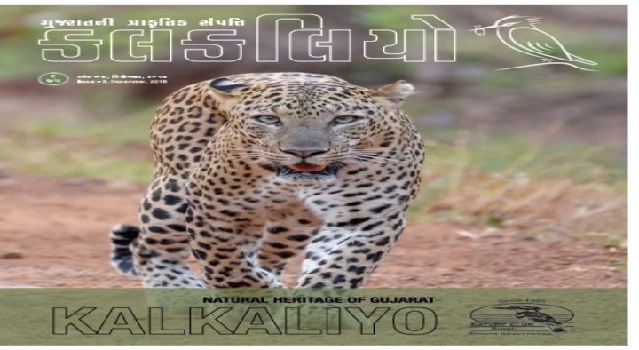 Kalkaliyo DEC 2019 – published