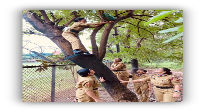 Bird Nest Project