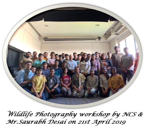 Wildlife Photography workshop – by Saurabh Desai