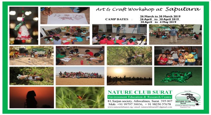 Saputara Art and Craft Camp
