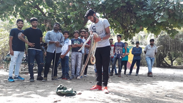 Snake Rescue Training