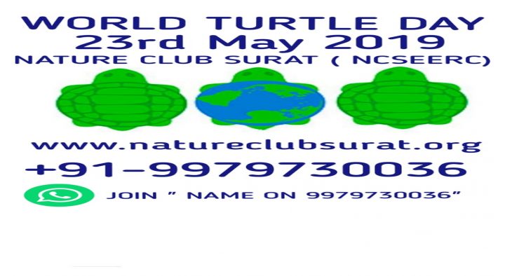 World Turtle Day
