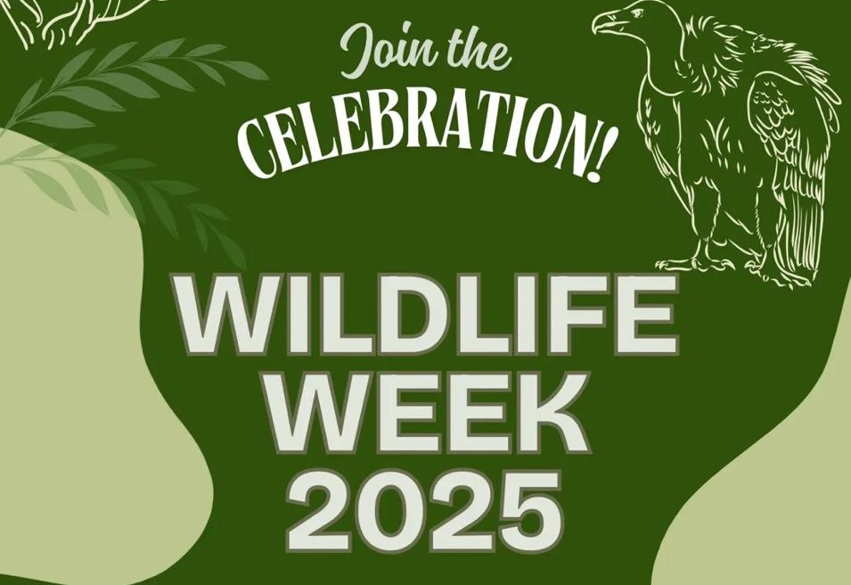 Wildlife Week 2025 Celebration